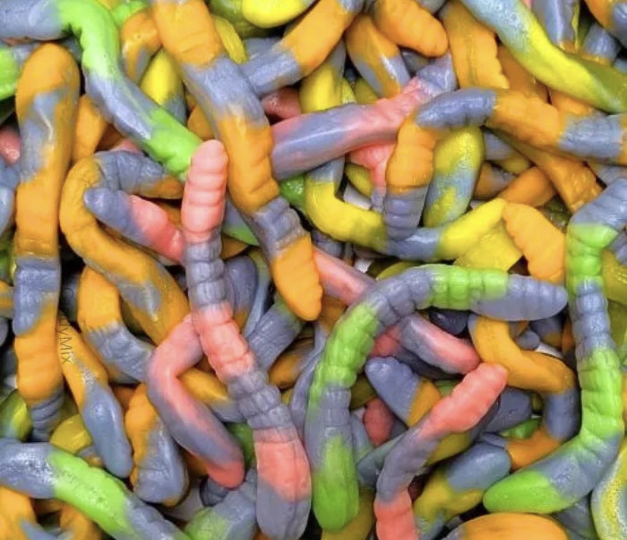 Serpent lisse ￼